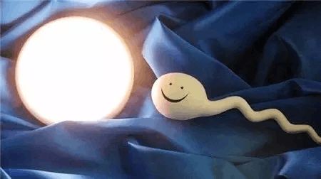 试管包生男孩医院